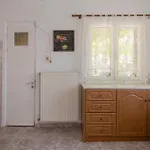 Casa vacanze Aleka's Traditional House Ambelófiton